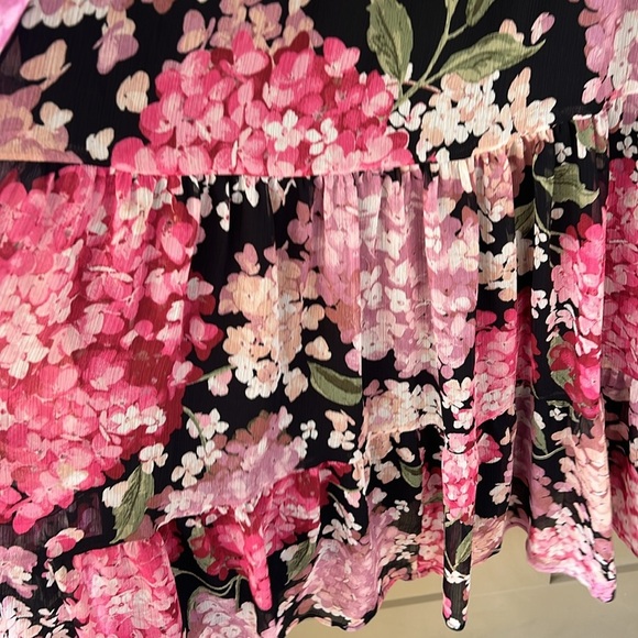 H&M+ CRÊPED CHIFFON DRESS Dark Floral Whimsigoth Babydoll Sz M - Picture 6 of 10